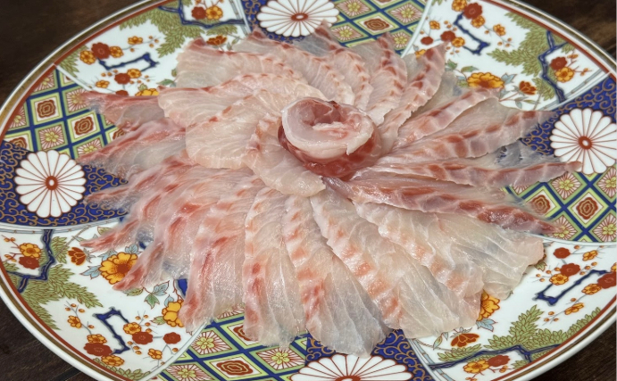 「ブリ」の名前の由来は「あぶら」？　名前に「アブラ」のつく魚たち