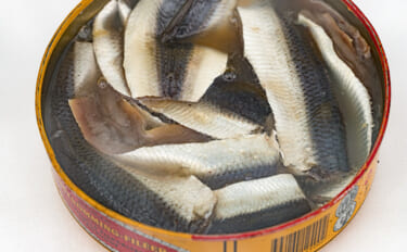 「スウェーデン vs 韓国 vs 日本」　世界の臭い魚料理を食べ比べて…