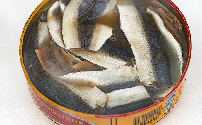 「スウェーデン vs 韓国 vs 日本」　世界の臭い魚料理を食べ比べてみた