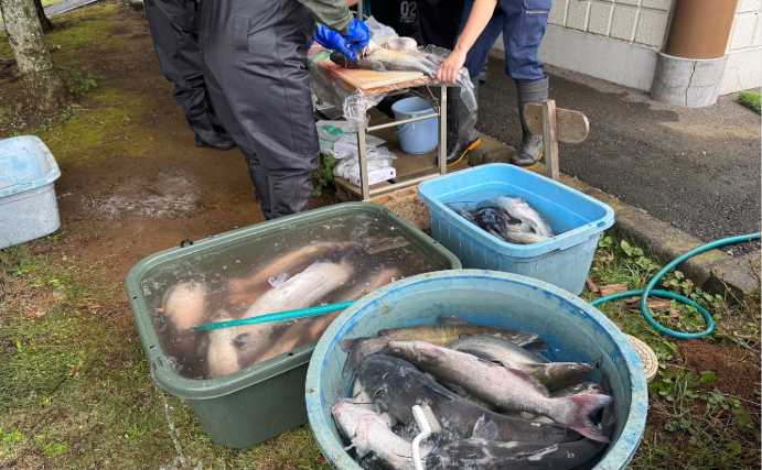 「釣った魚は美味しく食べる」が参加条件！　霞ヶ浦で外来生物を狙う異色の釣り大会が開催