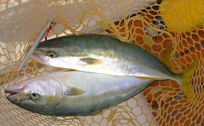 ジギングのリアフックは「付けた方が釣れる」？　大型ブリ狙いでは外す理由と使い分けのコツ