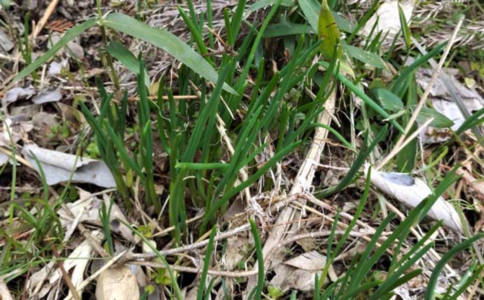 去年釣れなかった場所が良型アマゴの巣に？　渓流釣りに1シーズン通ってわかったこと