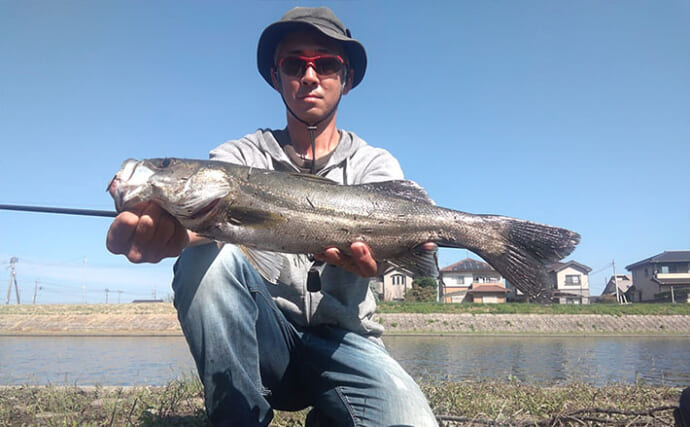 秋のバス釣りで想定外の55cmシーバスがヒット！  懐かしのタックルで3魚種をキャッチ【岡山】