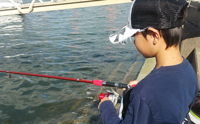 ハゼが釣れなくなったら「1歩だけ移動」　子どもでも実践できる”プチ移動”が奏功
