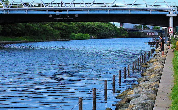東京23区でハゼを釣ろう！　オススメの「旧中川」はどんな釣り場？