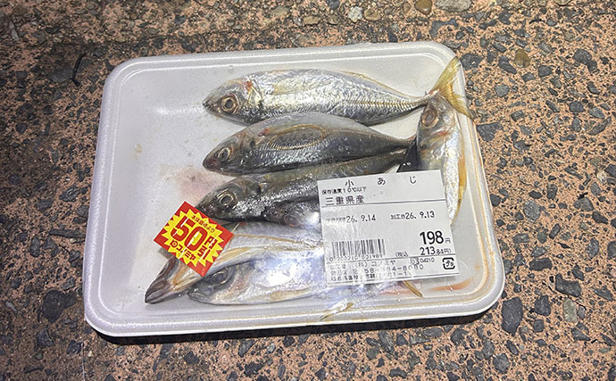 スーパーで買った「7匹150円のアジ」でアオリイカ2杯！ ヤエン釣りで試した誘い方とは？【福井】