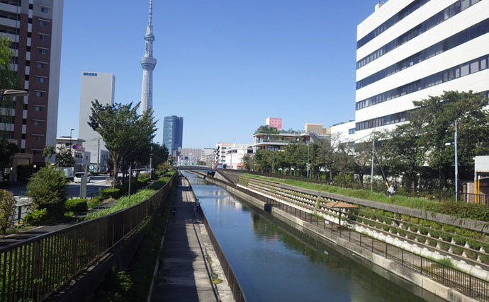 東京・北十間川のハゼ釣りで15匹をキャッチ！ 10月の攻略ポイントは小バリとヘチ狙い