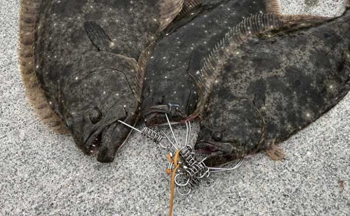 秋ヒラメは広いサーフより「小さな漁港」が狙い目？　ベイトと潮から探すポイント開拓術3選